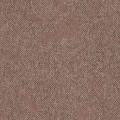 Moquette Take a Walk 522