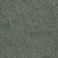 Moquette Take a Walk 220