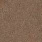 Moquette Take a Walk 452