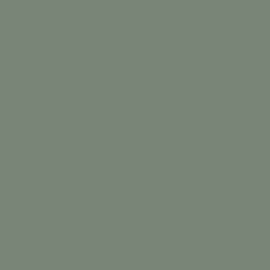 couleur-eucalyptus.jpg