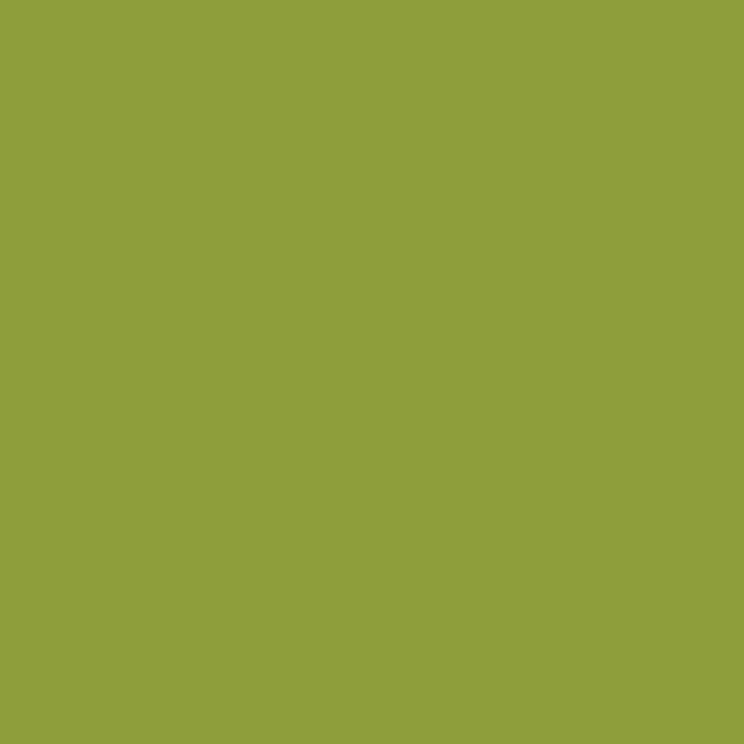 couleur-kiwi.jpg